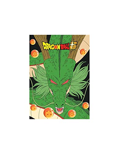 NEW IMPORT Manta Polar De Dragon Ball