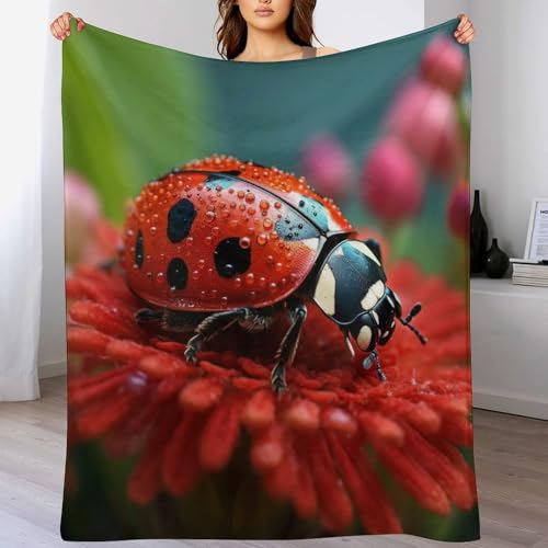 Manta suave de animal Ladybug - Manta para sofá, ligera y cálida, muy suave, cómoda, perfecta...
