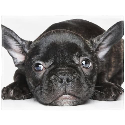 YISUMEI - Manta de forro polar suave - Bulldog franc&eacute;s negro, manta de 125 x 150 cm, apta para...