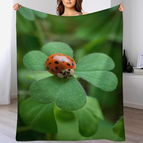 Manta de TV Ladybug Mantas todas las estaciones – Acogedoras y resistentes – Forro polar de...