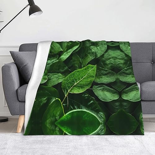LLKGOT Manta con imagen de la naturaleza de hoja verde de 60 x 50 pulgadas, ligera, c&aacute;lida,...