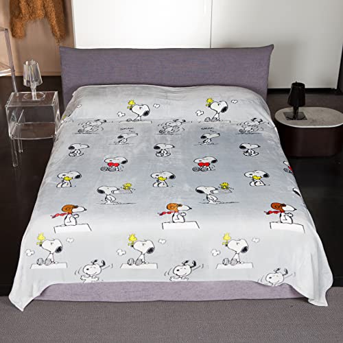 Kanguru Snoopy - Manta para Cama de Matrimonio 100% Suave Microfibra, Gris, 230 x 230 cm (1302)