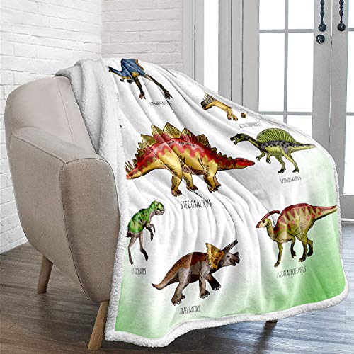 Manta de vell&oacute;n de dinosaurio Manta de tiro impresa dinosaurio jur&aacute;sico 3D reversible para ni&ntilde;os...
